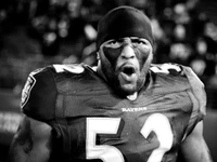 Baltimore Ravens: Fondo de Pantalla Monocromo Intenso