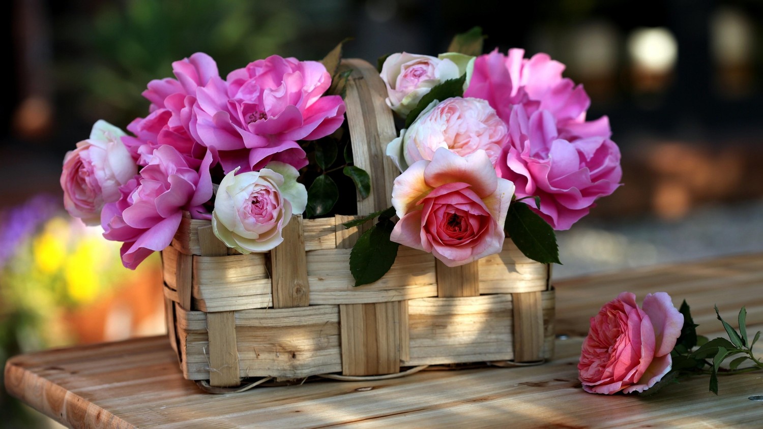 Elegant Pink Roses in a Basket Wallpaper