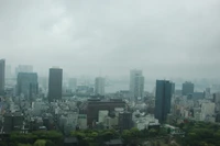 Beau Fond d'écran du Skyline de Tokyo