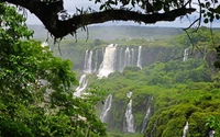 Experience the Breathtaking Iguazu Falls Wallpaper