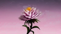 Vibrant Purple Flower Bloom Wallpaper