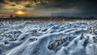 Téléchargez des Fond d'Écran de Paysages d'Hiver Époustouflants