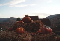 Descarga Nuestro Cautivador Fondo de Calabaza para Halloween