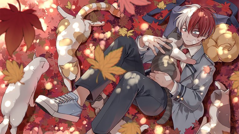 Shoto Todoroki with Adorable Cats Wallpaper