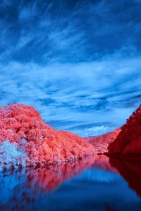 Explora la Belleza de la Naturaleza: Fondo de Lago y Bosque Escénico