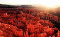 Découvrez la beauté majestueuse du parc national de Bryce Canyon