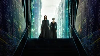 Téléchargez des fonds d'écran haute qualité de The Matrix Resurrections