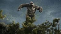 Fond d'Écran Épique de King Kong de Godzilla x Kong : Le Nouvel Empire