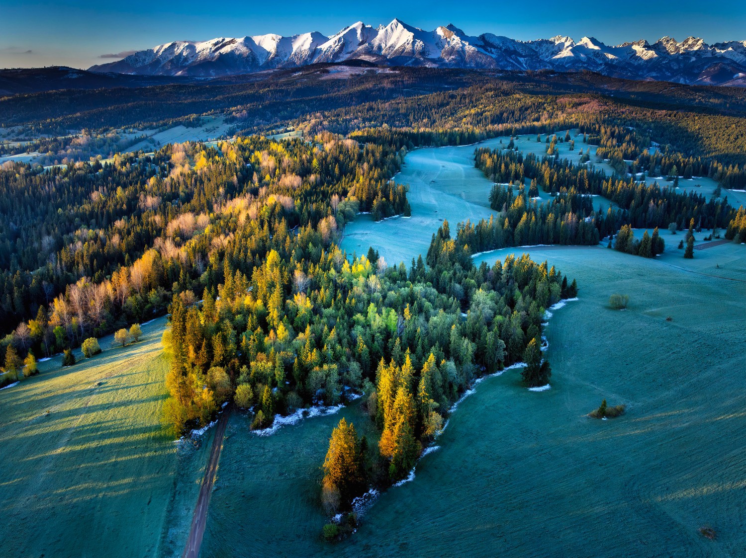 Breathtaking Tatra Mountains and Green Forest Wallpaper