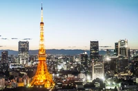 Torre de Tokio de Noche - Fondo de Pantalla Cautivador de Ciudad