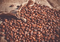 Superbe Fond d'Écran de Grains de Café pour Votre Appareil