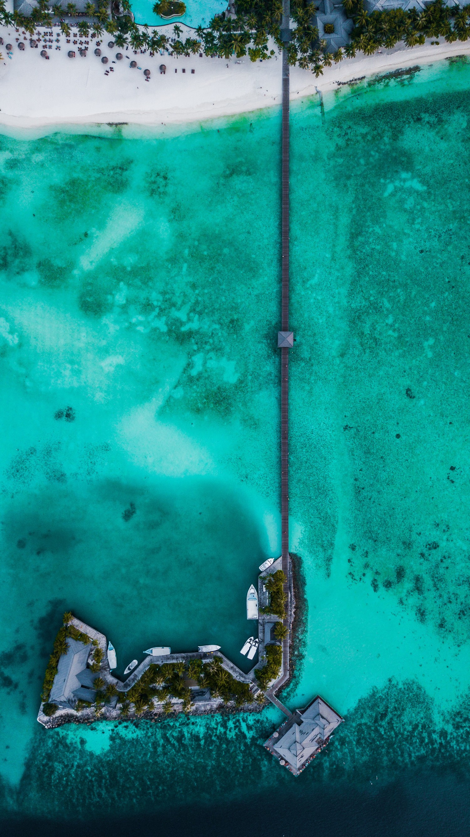 Explora la Serenidad de la Isla Aqua: Un Fondo de Pantalla Asombroso