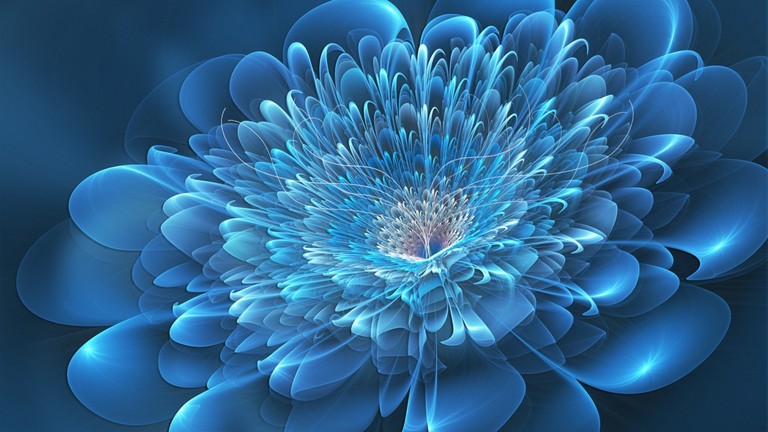 Download Our Beautiful Blue Fractal Flower Wallpaper