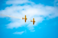 Descarga Asombroso Fondo de Pantalla de Acrobacias con Aviones Amarillos