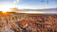 Explorez la Beauté du Parc National de Bryce Canyon