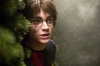 Fond d'Écran Harry Potter : Daniel Radcliffe en tant que Harry Potter