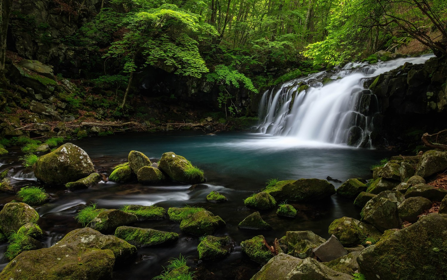 Découvrez Notre Magnifique Fond d'Écran de Cascade