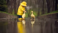 Adorable Fondo de Pantalla de Pato y Niño en la Naturaleza