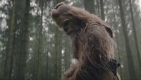 Fond d'Écran de Haute Qualité Star Wars : Wookiee de The Acolyte