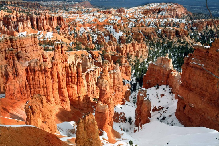 Explore the Beauty of Bryce Canyon National Park