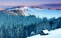 Explore the Serene Beauty of Winter: Download Our Wallpaper