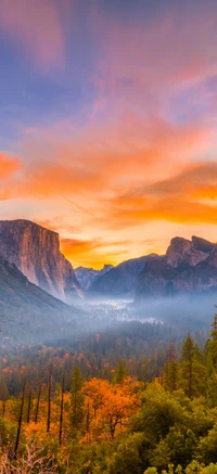 Fondo de pantalla escénico impresionante del Parque Nacional Yosemite