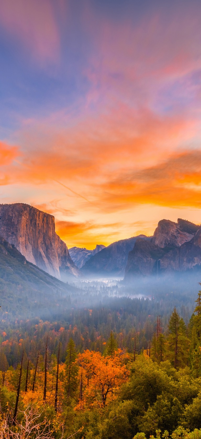 Breathtaking Yosemite National Park Scenic Wallpaper