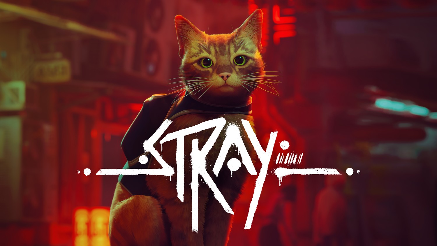 Explore Stray: Download 4K Wallpapers of the Stray Cat Adventure