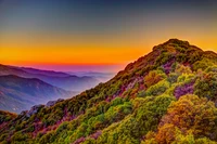 Breathtaking Landscape of Sequoia National Park