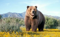 Découvrez la Beauté des Ours Grizzly dans Leur Habitat Naturel