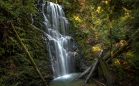 Experimenta la Belleza de la Naturaleza: Fondo de Pantalla de Cascada