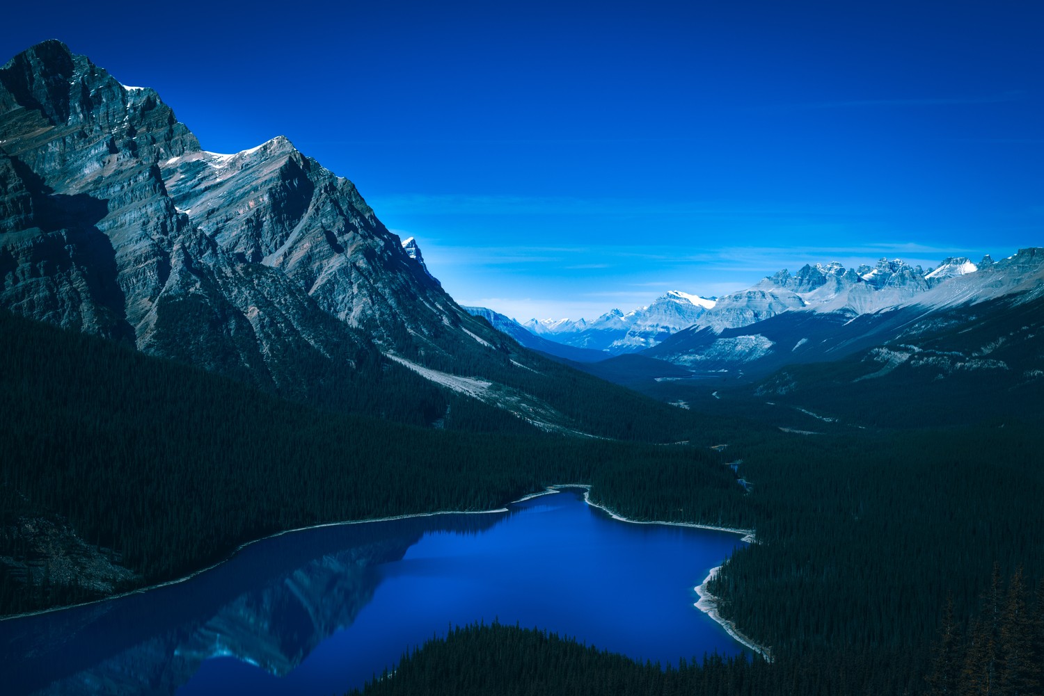 Peyto Lake: Breathtaking 5K Wallpaper from Banff National Park