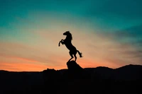 Majestueux Cheval Contre un Ciel de Coucher de Soleil