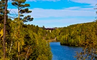 Descarga la asombrosa imagen de fondo de bosque y río