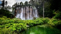 Découvrez la Magnifique Cascade au Parc National des Lacs de Plitvice