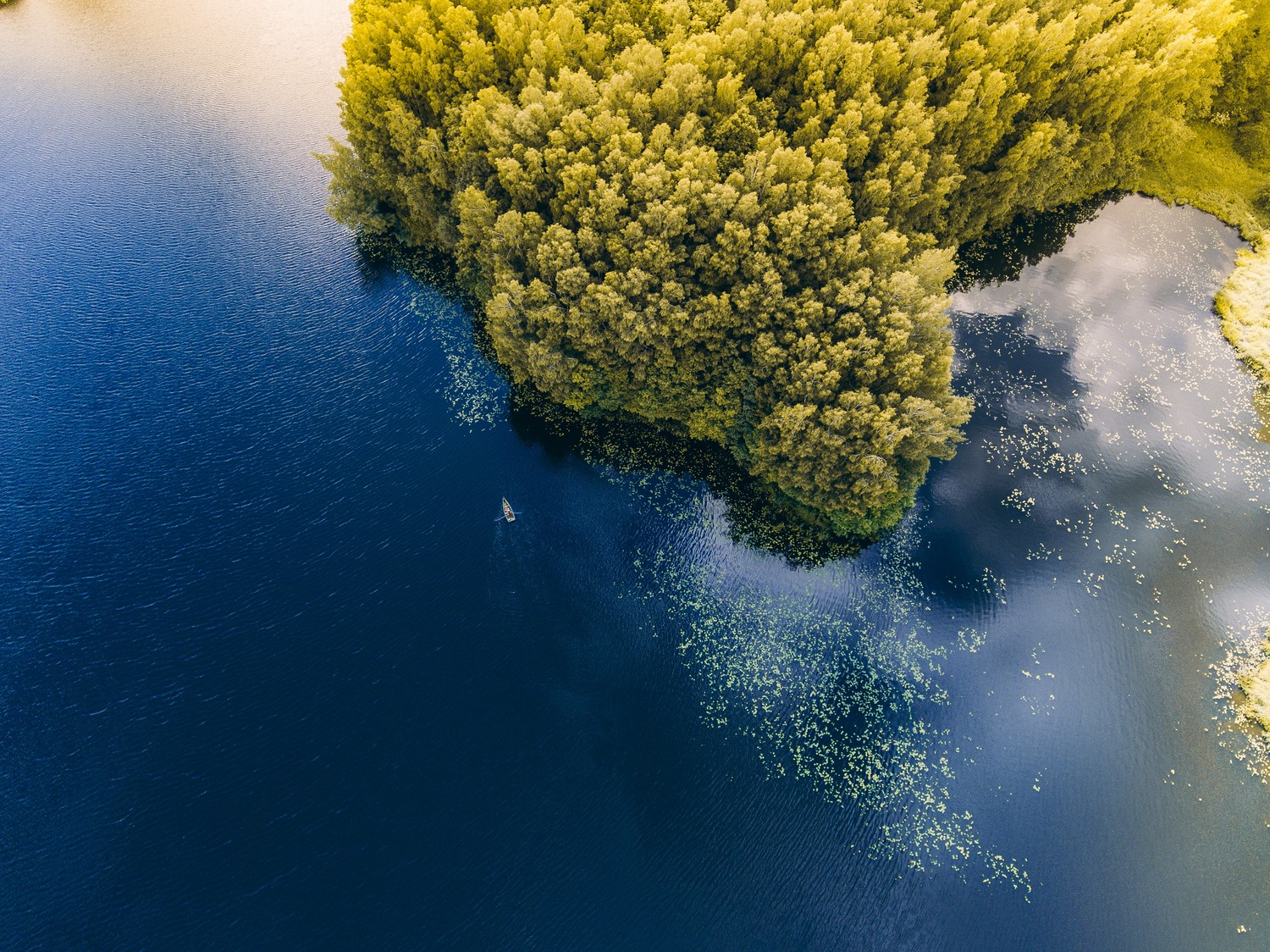 Breathtaking Aerial View of a Natural Lake