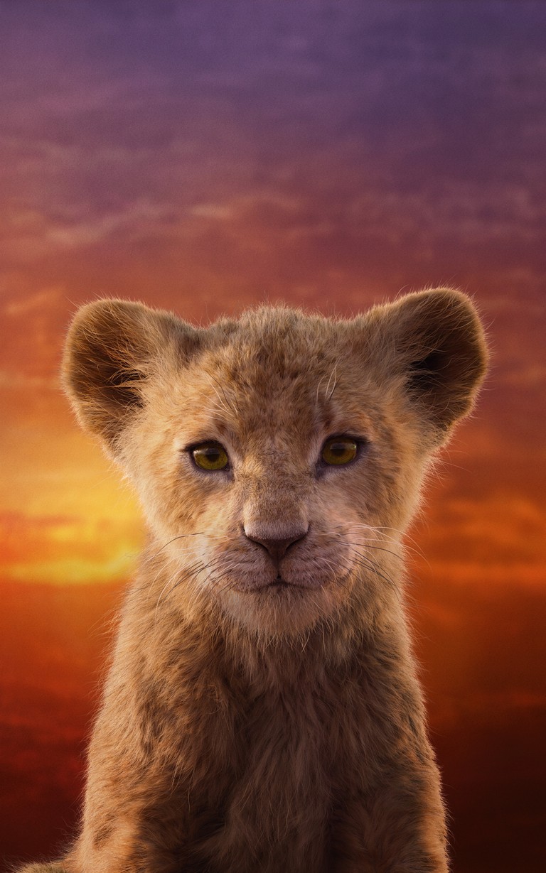 Vibrant Lion Cub Wallpaper for Your Device