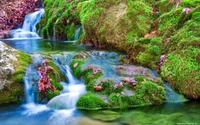 Découvrez un Superbe Fond d'Écran de Cascade