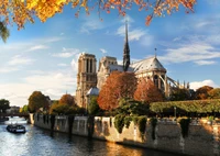 Hermoso fondo de Notre Dame de París