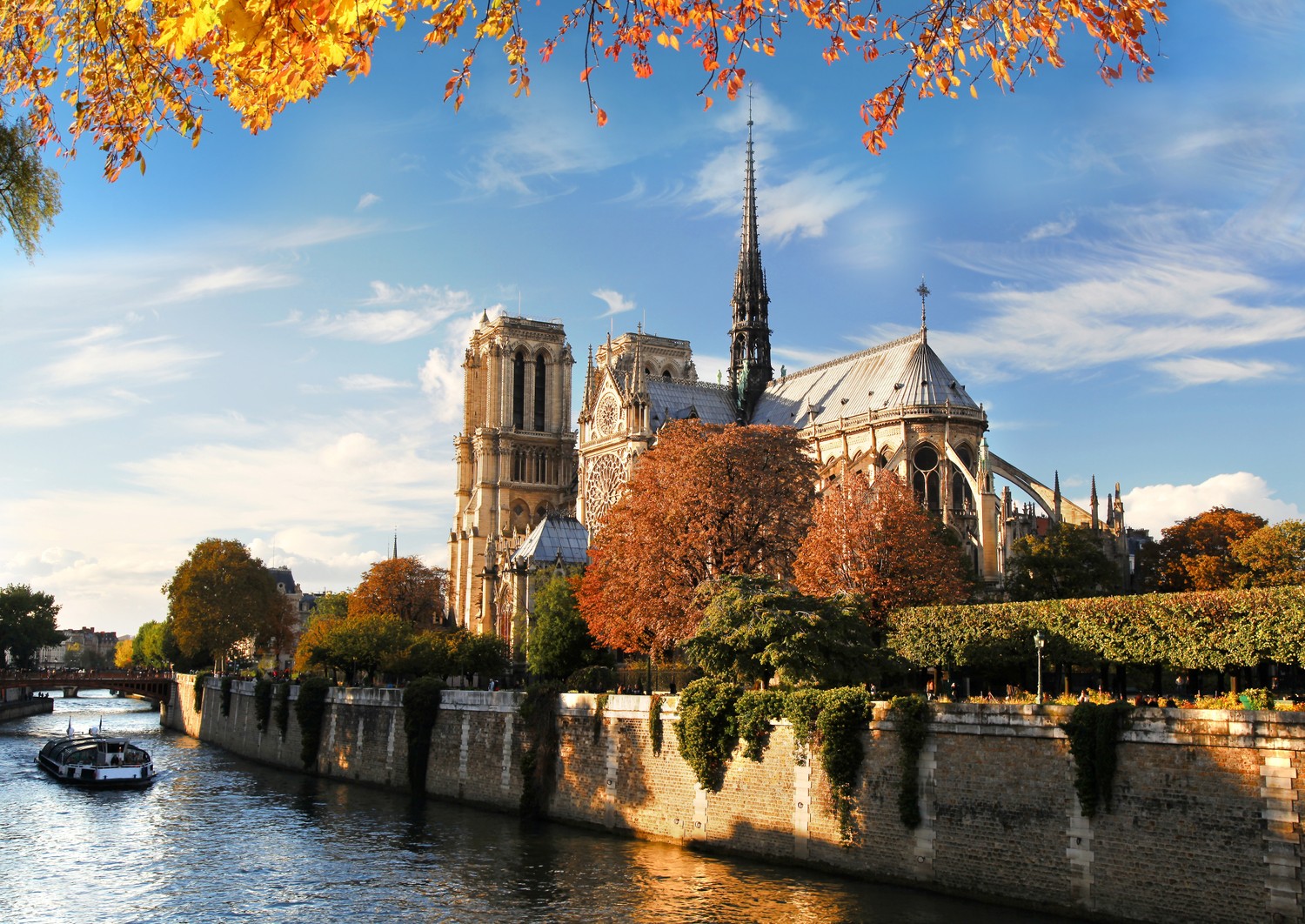 Hermoso fondo de Notre Dame de París